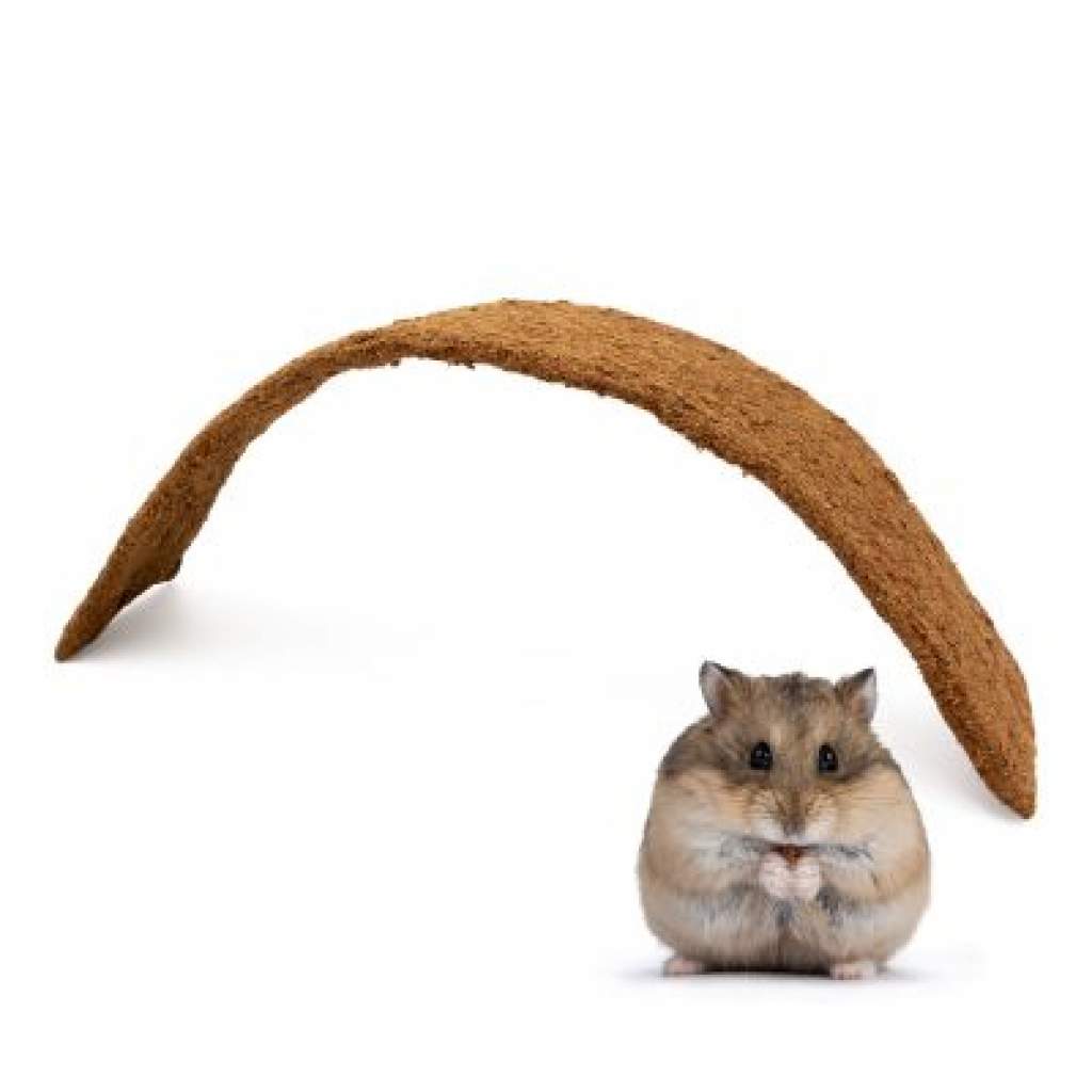 Kokos - Biege-Brücke - 10 x 50 cm